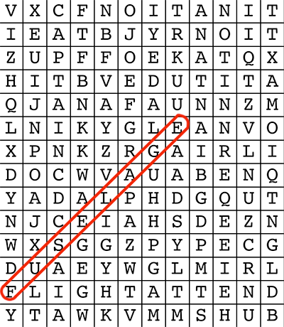 Airplane Wordsearch Puzzle Thumbnail