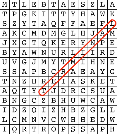 Airplane Wordsearch Puzzle Thumbnail