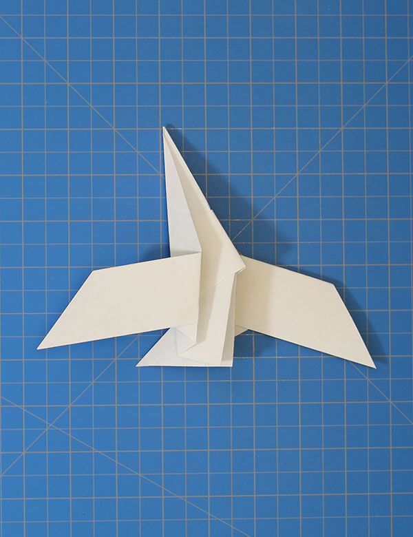 Fold 'N Fly » Eagle Eye Paper Airplane