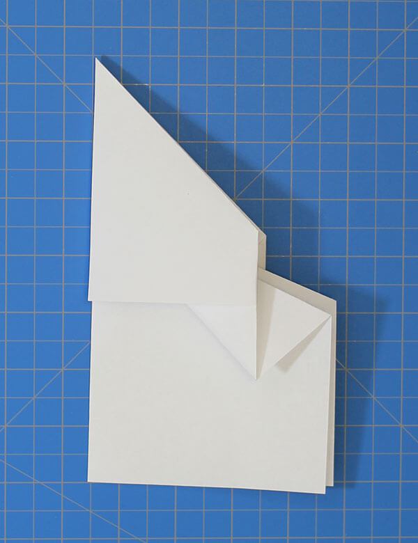 Pasos 7