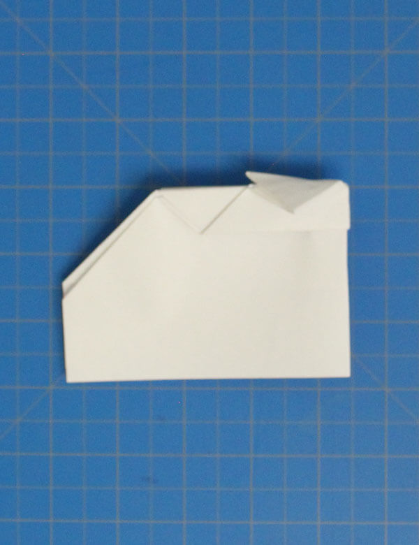 Step 7
