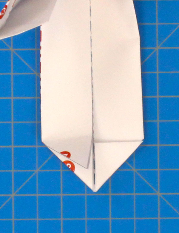 Step 11