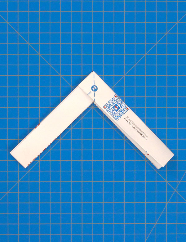Step 9
