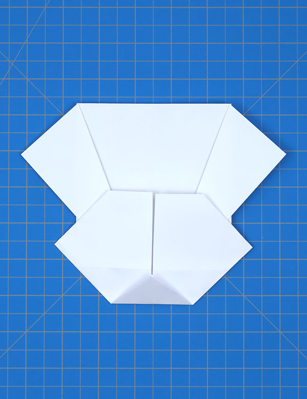 Step 11