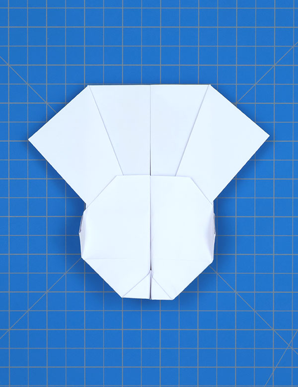 Step 15