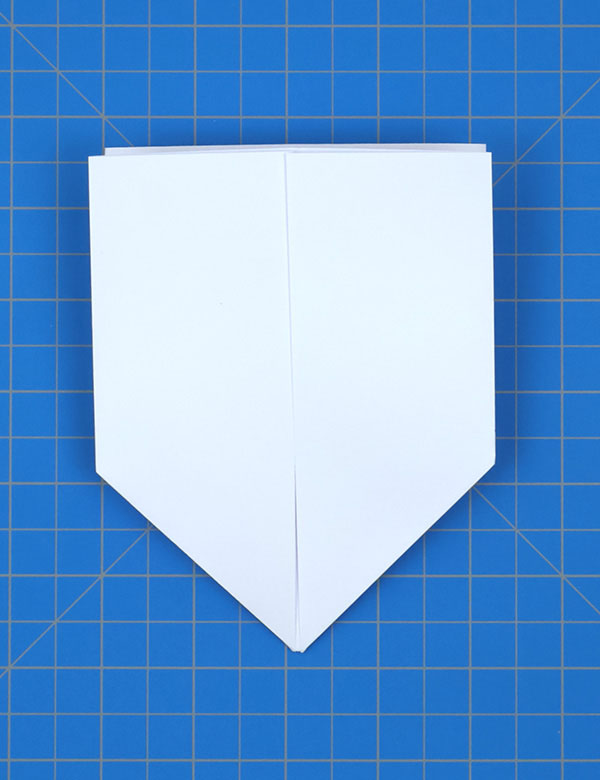 Step 5