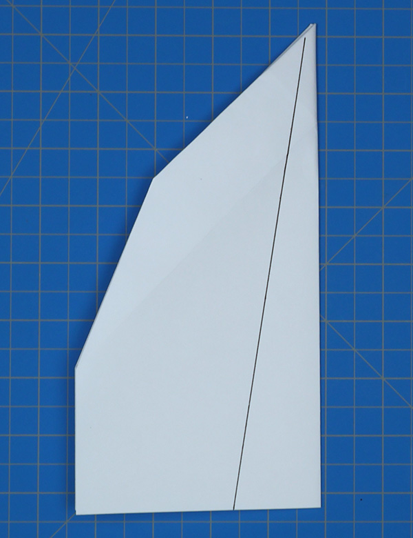 Pasos 11