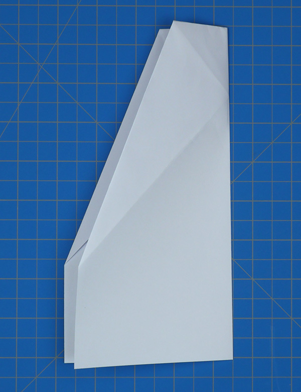 Pasos 6