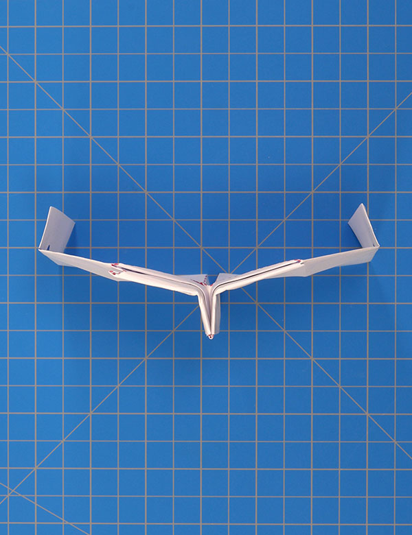 Step 21