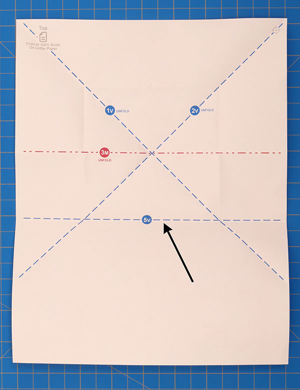 Step 5