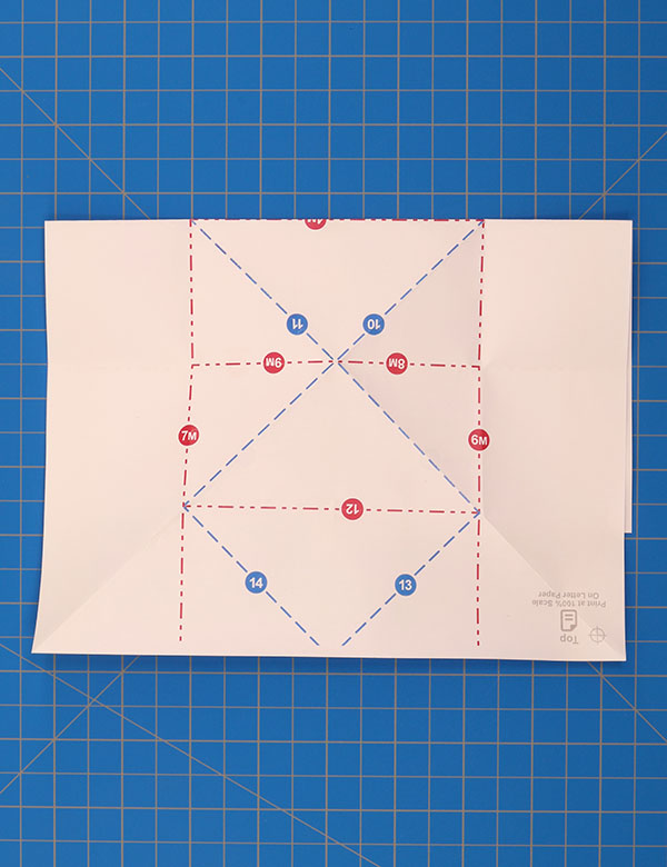 Step 6