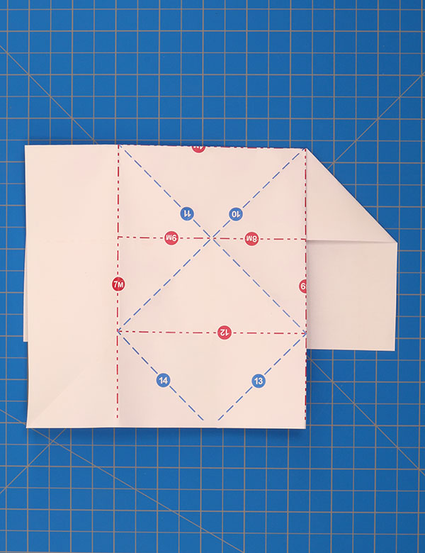 Step 7