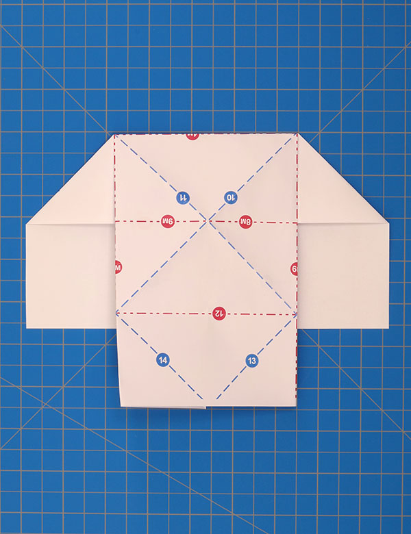 Step 8