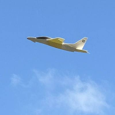Whitewings Airplane Flying