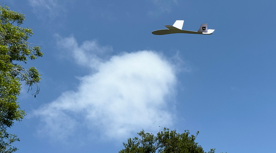 Whitewings Glider Flying