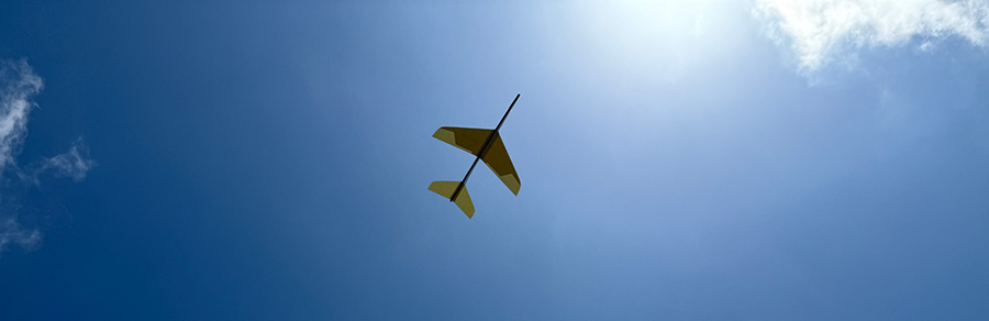 Whitewings Paper Airplane Flying Overhead