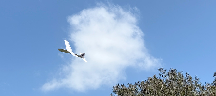 Sampling of Whitewings Paper Airplanes